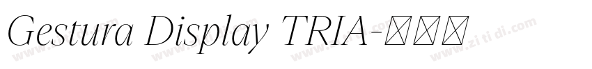 Gestura Display TRIA字体转换 Gestura Display TRIA字体转换